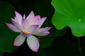5B0B0A61-0446-4D4B-B8BD-416BCD6A208D/L0/001