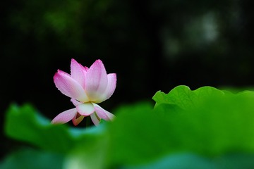 001