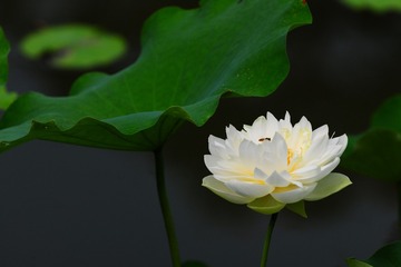 DF927D5A-F5F6-402E-93F4-A98377C6EDB2/L0/001