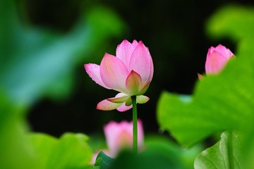 001