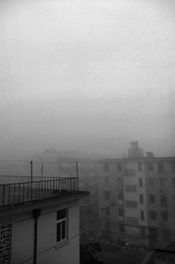 DSCF1054.jpg