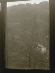 24502