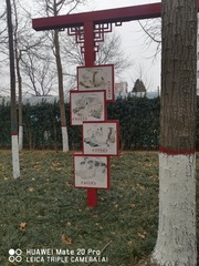 13677