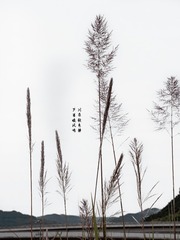 DB884F02-8010-4AE6-9AA3-2D09787B0015/L0/001