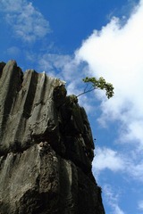 2010年10月11号 105