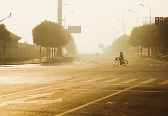 DSC_9937_1.jpg