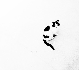 20130518409_LR_1_sharpen.jpg