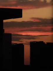 8CD8C0F9-80C9-463B-A984-36019CF189C5/L0/001
