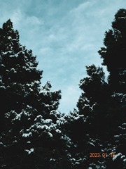114355