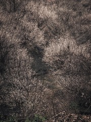1000016546