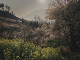 1000016530