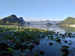 94817
