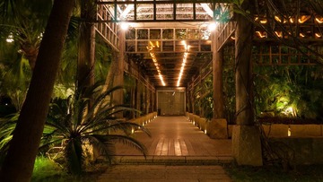 P1000340.jpg