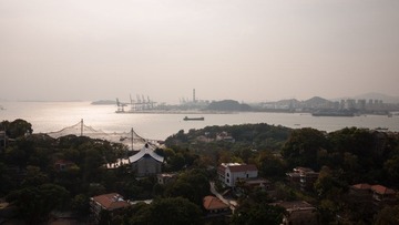 P1000509.jpg