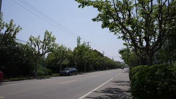 P1020193.JPG