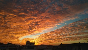 365
