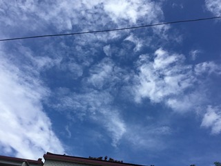 E33DD680-25C0-404D-B9ED-5E815BE38BCB/L0/001