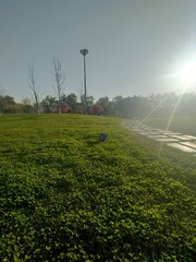 1000015228