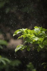 IMG_3796.JPG