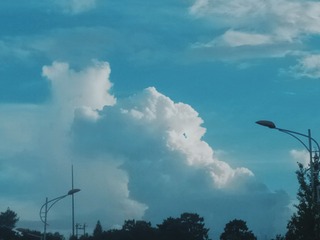 77022