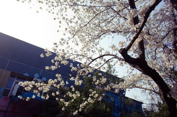 DSC05128-13.jpg