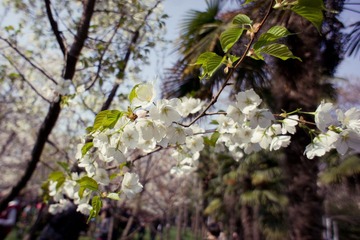 DSC05146-1.jpg