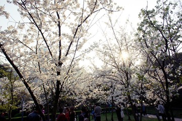 DSC05255-33.jpg