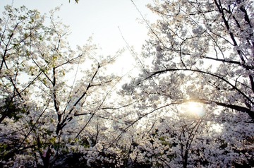 DSC05261-1.jpg