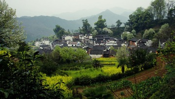 DSC05834-1.jpg