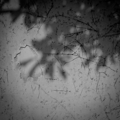 DSC06085-2.jpg