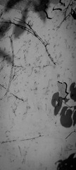 DSC06084-1.jpg