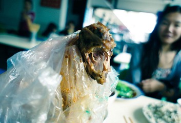 DSC07122.jpg