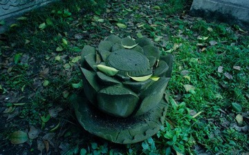 DSC07204.jpg