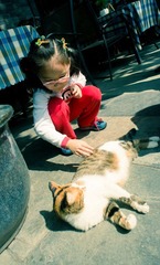 DSC07110.jpg