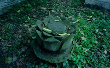 DSC07204.jpg