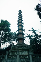 DSC07206.jpg