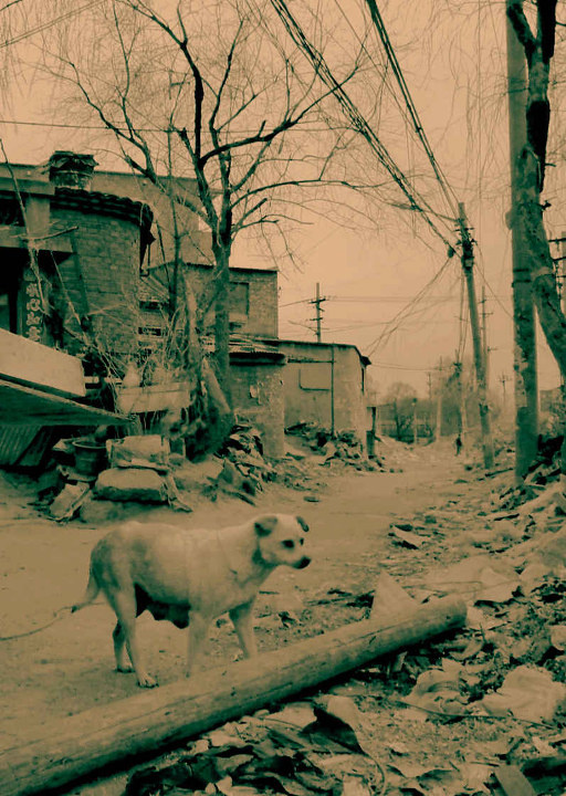 六郎庄正在消失的村落