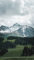 1000021815
