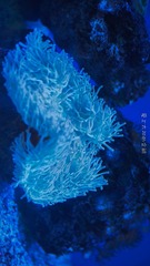 2CCD749C-93EA-4C85-98E3-63605CF162EA/L0/001