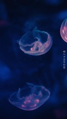 CD6E1DA0-5A28-40C3-A656-AD6F93F77F0F/L0/001