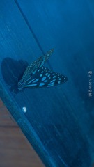 D79B26A6-79F6-45F9-822E-CA2BE1E07973/L0/001