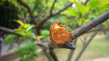 P1020745.JPG