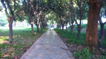 P1020938.JPG