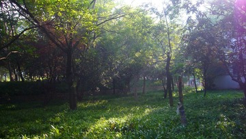 P1020939.JPG