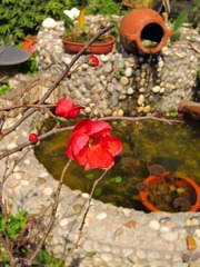 IMG_0911-1.jpg