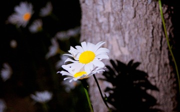 B318DD3D-5EBD-4219-B9A7-F6B1307E0F4B/L0/001