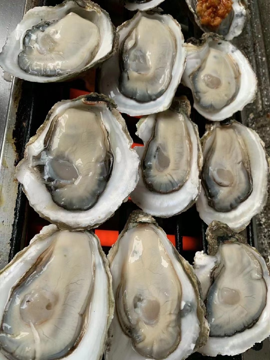 生蚝- 生态海鲜生蚝 - 图虫