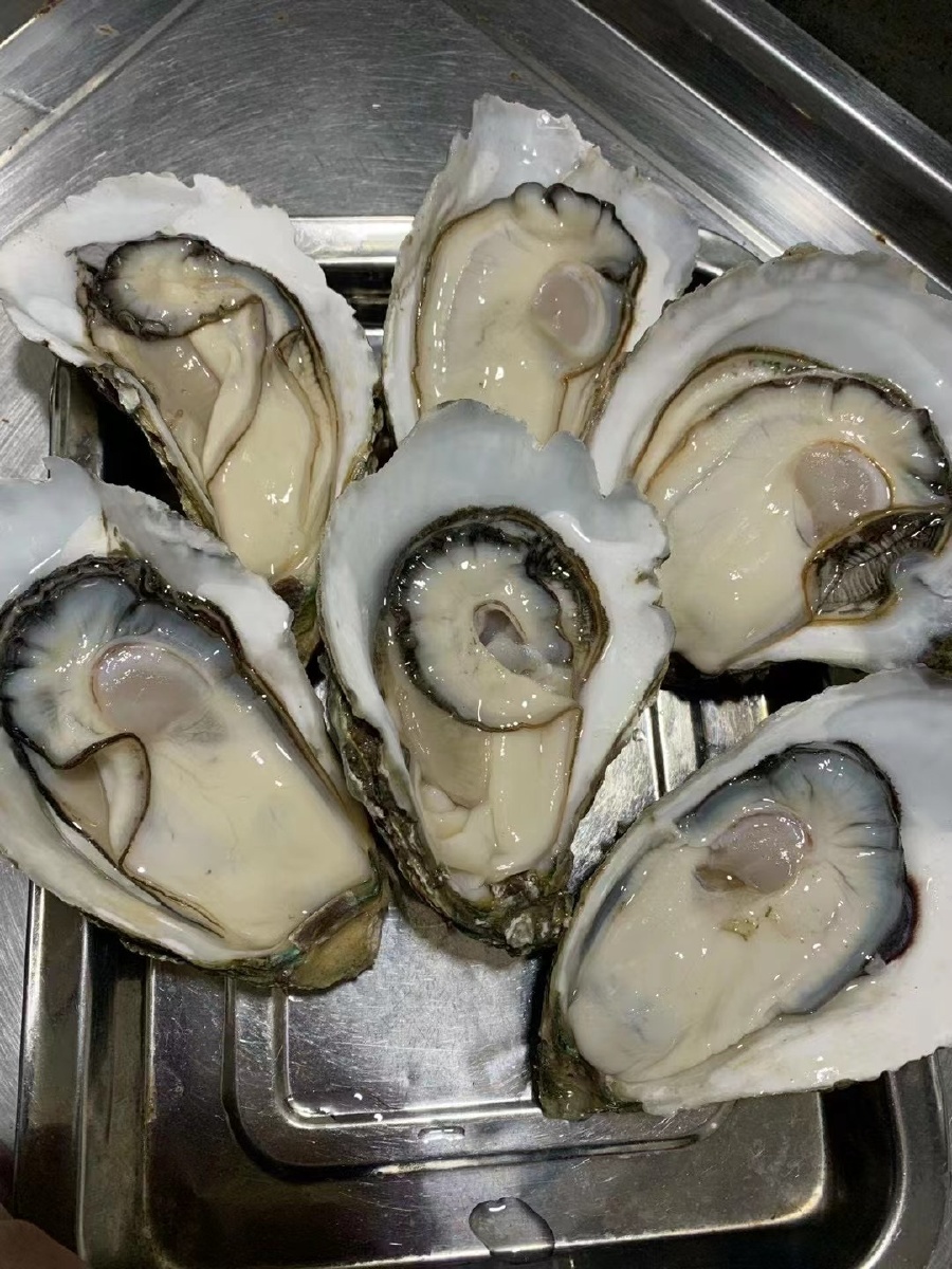 生蚝- 生态海鲜生蚝 - 图虫