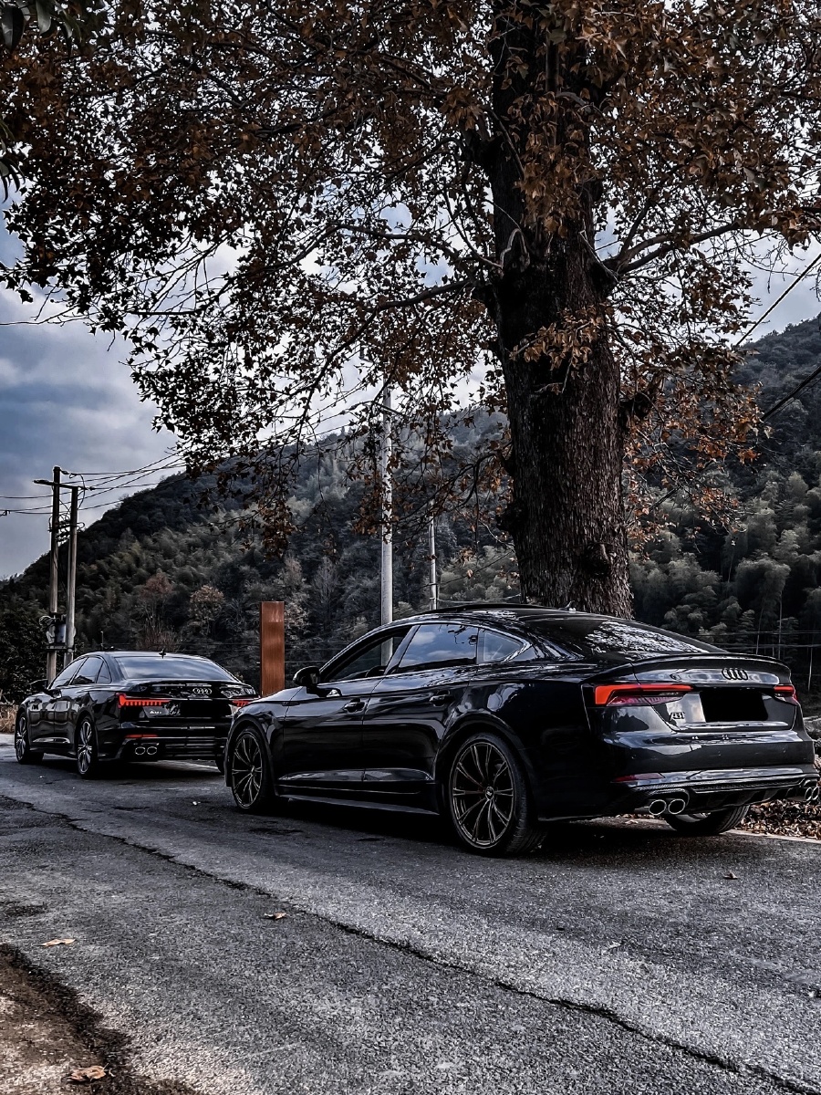 奥迪a6l #黑武士系列 - 奥迪之家audi - 图虫