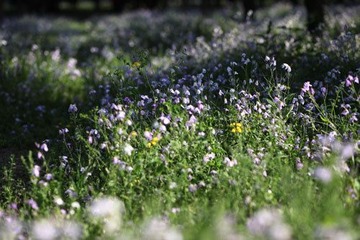 IMG_07891.jpg